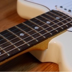 Ibanez TM730-IV Ivory (ホワイトピックガード仕様)