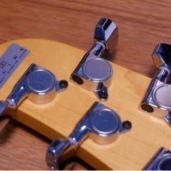 Ibanez TM730-IV Ivory (ホワイトピックガード仕様)