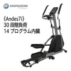 状態良好 ホライズン フィットネス/HORIZON FITNES...