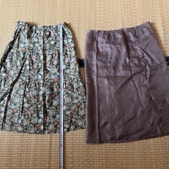 【成約済】レトロなスカート