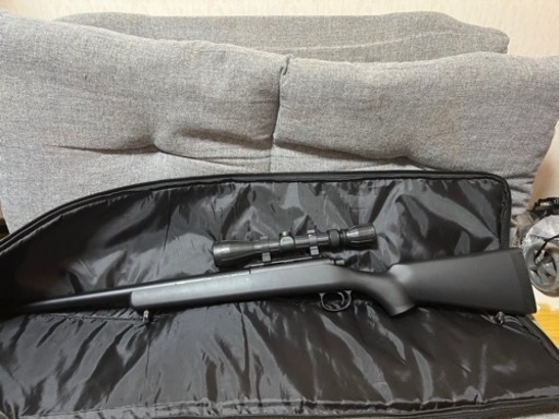その他 VSR