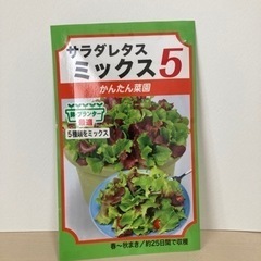 【野菜の種】サラダレタスミックス5（新品未開封）