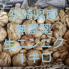 【取引中です】国産無農薬！栄養たっぷり！都農町産　土付きにんにく...