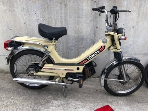 トモス　TOMOS 人気のクリーム色