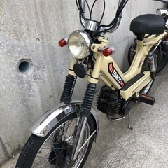 トモス　TOMOS 人気のクリーム色