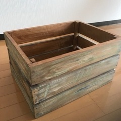 キャベツBOX