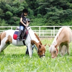 乗馬クラブの事務補助スタッフ - 甲賀市