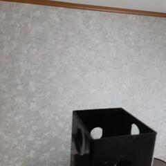 パワーラック筋トレ