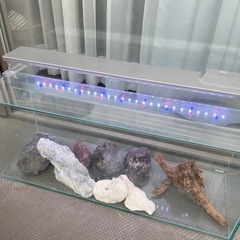 水槽　LEDライト　フィルター　ポンプ　石　サンゴ　流木　砂　貝...