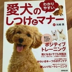 愛犬のしつけとマナー　本　美品