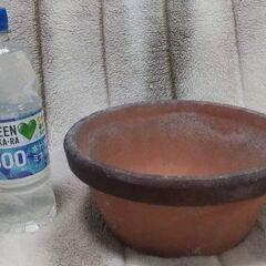【まだ受付中】中古 陶器製 植木鉢① 茶 これからの季節ガーデニ...