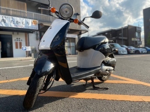 【外装新品✨ピカピカ❗️】ツートンカラー　ホンダ　AF61 トゥデイ【修理補償付き❗️】