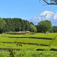 人生の中でマイナスをプラスに変える方法