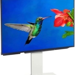 有機ELテレビ＋サウンドバー（壁寄せスタンド付き）