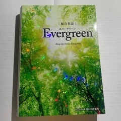 【ネット決済・配送可】Evergreen 英語文法書