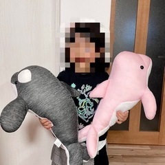 接触冷感イルカandシャチ3点セット