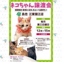 2023/6/18(日)保護猫譲渡会 島忠 江東猿江店