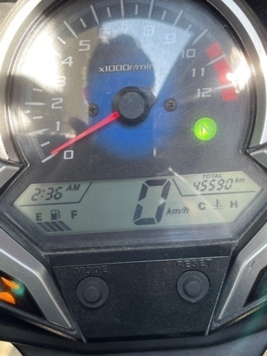 最終値下げリクガメ用器具一式(ヒートプレート込)&リクガメ一匹