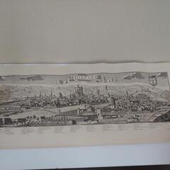 Friedrich bernhard werner ”FIORENZA”