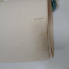 Friedrich bernhard werner ”FIORENZA”