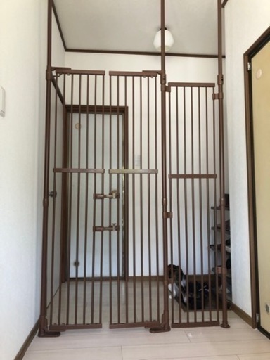 猫柵