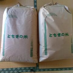 令和４年栃木県佐野市産 お米 精米 約２７キロ×２袋