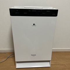 Panasonic nanoeX