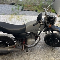 HONDA エイプ50