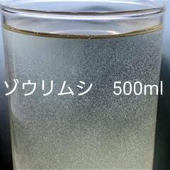 【受付再開】ゾウリムシ500mL　