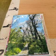 0521-054 【無料】 ポストカード
