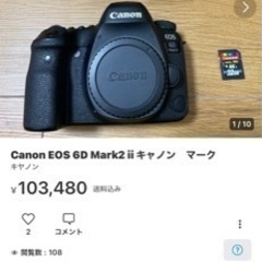 Canon EOS 6D Mark2 ii キャノン　マーク