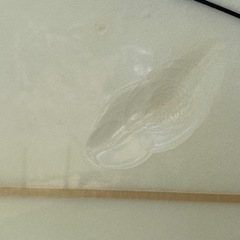 9\'2 波王　(NAMIOH) ロングボード サーフボード