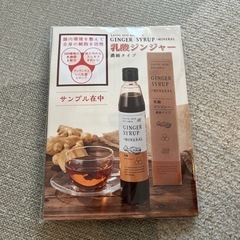 乳酸ジンジャー✳︎新品3本