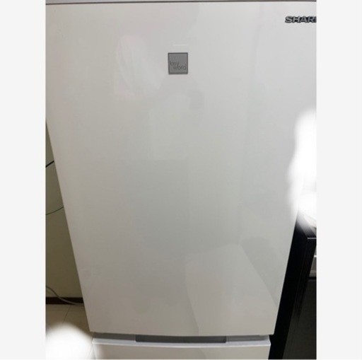 エディオン【2020年製】SHARP 179L ドアノンフロン冷蔵庫