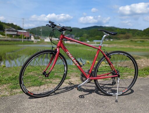 GIANT ESCAPE R3 Mサイズ