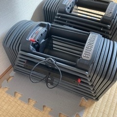 可変式ダンベルとトレーニングベンチのセット 引き取りのみ