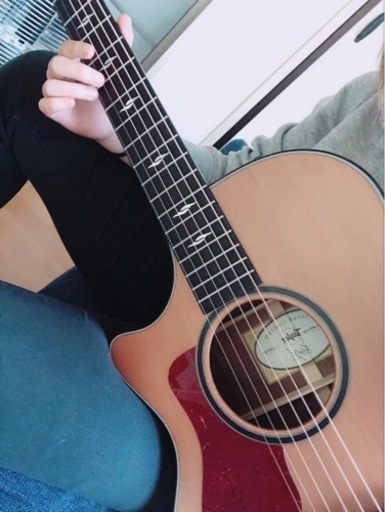 日本に6本限定品】Taylor ギター W12ce JPN LTD