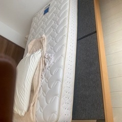 【土日お渡し限定】シングルベッドフレーム&マットレス