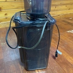 水槽用海道だるま