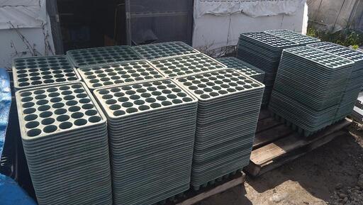 【いちご就農者必見】育苗すくすくトレイ35穴500枚!