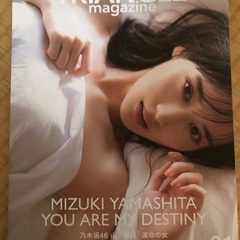 triangle magazine