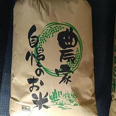 令和４年栃木県佐野市産 お米 精米 １０キロ