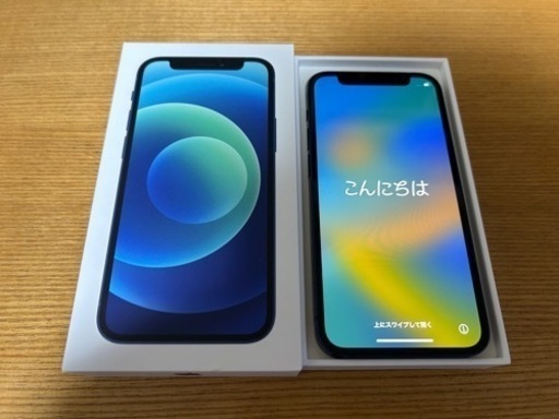 iPhone 12 mini 128GB ブルー SIMフリー | nycsummit.foodnicher.com