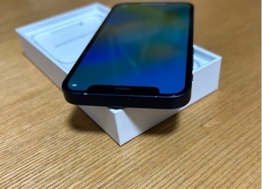 iPhone 12 mini 128GB ブルー SIMフリー | nycsummit.foodnicher.com