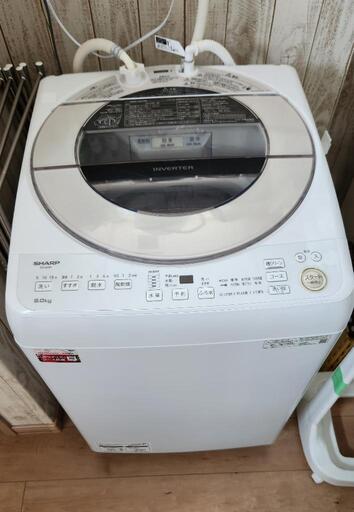 2022年製SHARP洗濯機 9kg | tintasmarfim.com.br