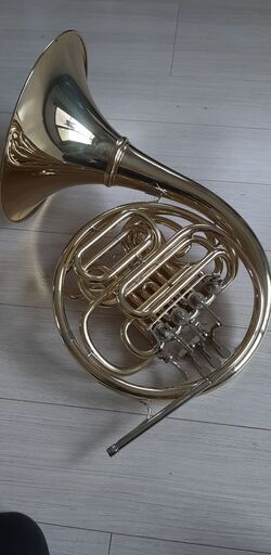 ハンスホイヤーのホルン