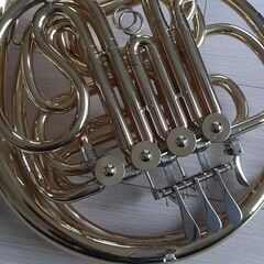 ハンスホイヤーのホルン