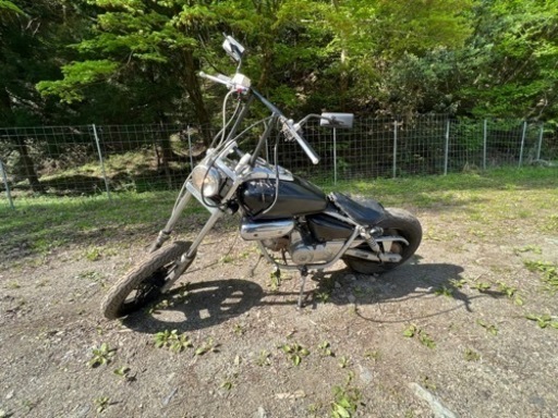 マグナ50