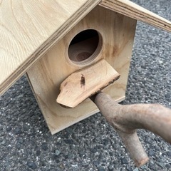 【ありがとうございました】DIY 鳥の巣箱に扉を付けて頂ける方探...