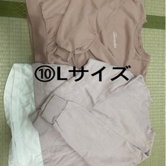 レディース服LサイズズボンMサイズ